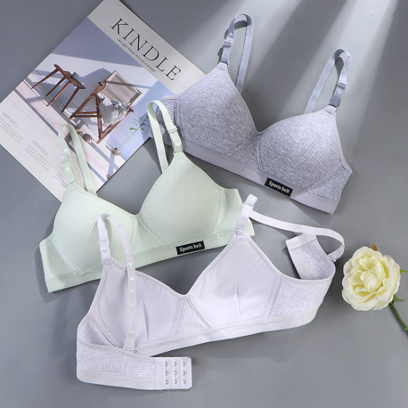 Women Cotton Underwear AB Cup  - Cotton Bra Everyday avaliação e preço